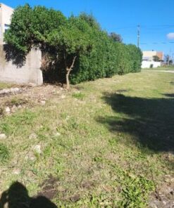 Alternative view of Terreno en Venta en Castagñino