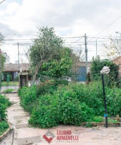 Terreno en Venta en Constitución