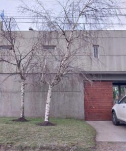 Casa - Chalet en Venta en Fortunato de la Plaza