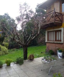 Alternative view of Casa - Chalet en Venta en Mar del Plata
