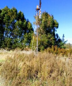 Campo en Venta en Balcarce