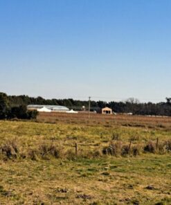 Alternative view of Campo en Venta en Balcarce