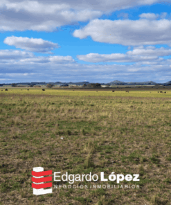 Alternative view of Campo en Venta en Balcarce