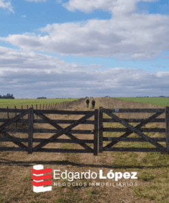 Campo en Venta en Balcarce