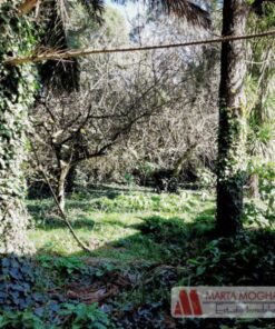 Alternative view of Terreno en Venta en Sierra de los Padres