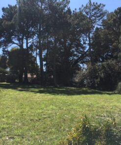 Terreno en Venta en Sierra de los Padres