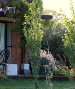 Alternative view of Casa - Chalet en Venta en Miramar