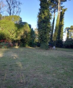 Alternative view of Terreno en Venta en Sierra de los Padres