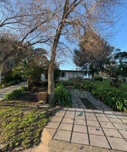 Casa - Chalet en Venta en Mar del Plata