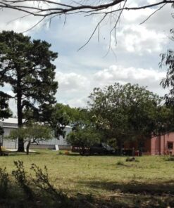 Campo en Venta en Balcarce