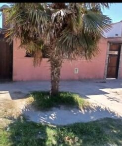 Casa - Chalet en Venta en Newery