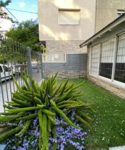 Alternative view of Casa - Chalet en Venta en Mar del Plata