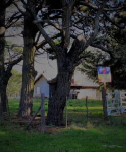 Alternative view of Casa - Chalet en Venta en Sierra de los Padres
