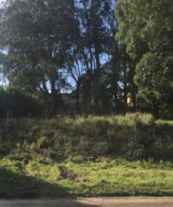 Alternative view of Terreno en Venta en Sierra de los Padres