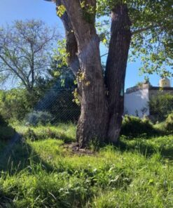 Terreno en Venta en Zacagnini