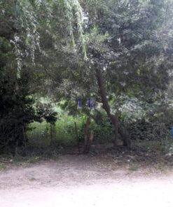 Terreno en Venta en Mar del Plata