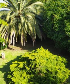 Casa - Chalet en Venta en Bosque Alegre