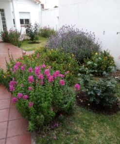 Casa - Chalet en Venta en Mar del Plata