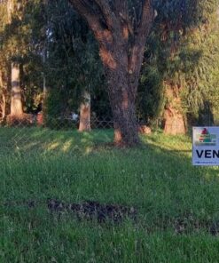Alternative view of Terreno en Venta en Sierra de los Padres