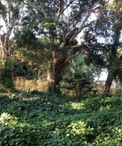 Terreno en Venta en Sierra de los Padres