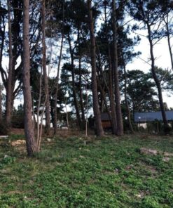 Alternative view of Terreno en Venta en Sierra de los Padres