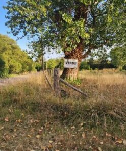Terreno en Venta en El Sosiego