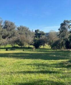 Terreno en Venta en Sierra de los Padres