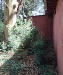 Alternative view of Cabaña en Venta en Santa Clara del Mar