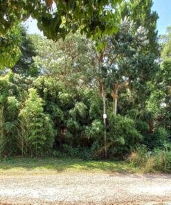 Terreno en Venta en Sierra de los Padres