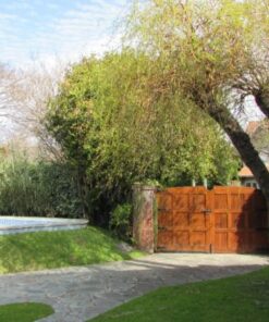 Alternative view of Casa - Chalet en Venta en Mar del Plata