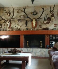 Alternative view of Casa - Chalet en Venta en Divino Rostro