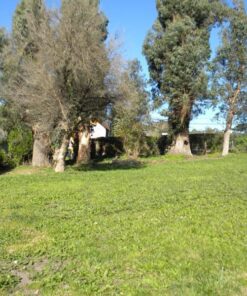 Alternative view of Terreno en Venta en Sierra de los Padres