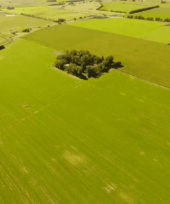 Campo en Venta en Balcarce