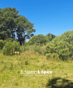 Terreno en Venta en Sierra de los Padres
