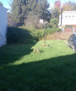 Alternative view of Casa - Chalet en Venta en Mar del Plata