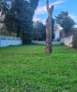 Terreno en Venta en Las Margaritas