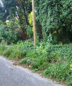 Terreno en Venta en El Tejado