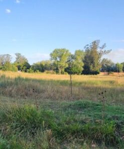 Alternative view of Terreno en Venta en El Sosiego