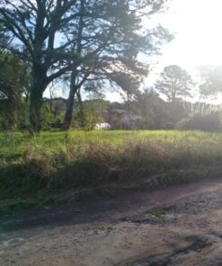 Terreno en Venta en Sierra de los Padres