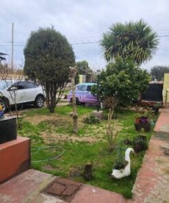 Alternative view of Casa - Chalet en Venta en Parque Peña