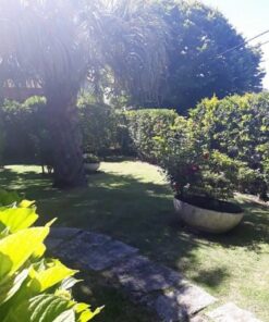 Alternative view of Casa - Chalet en Venta en Stella Maris