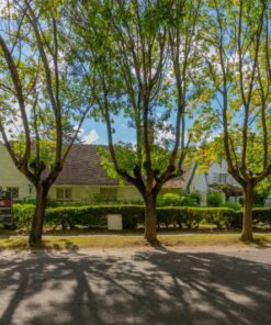 Alternative view of Casa - Chalet en Venta en Los Troncos