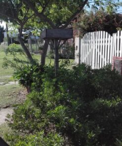 Casa - Chalet en Venta en San Cayetano