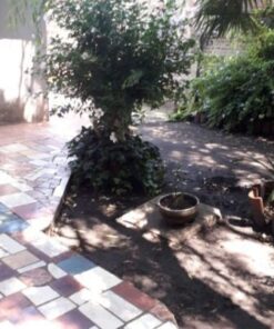 Alternative view of Casa - Chalet en Venta en San Cayetano