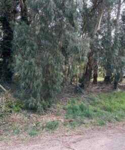 Alternative view of Terreno en Venta en Sierra de los Padres