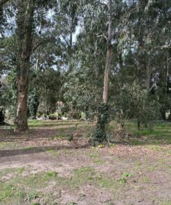 Terreno en Venta en Sierra de los Padres