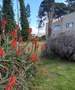 Terreno en Venta en Sierra de los Padres