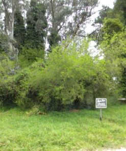Alternative view of Terreno en Venta en Sierra de los Padres
