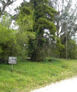 Terreno en Venta en Sierra de los Padres