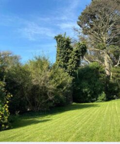 Terreno en Venta en Mar del Plata